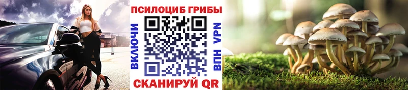 мега как зайти  Алексин  Галлюциногенные грибы мицелий 