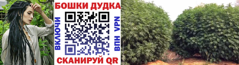 МАРИХУАНА THC 21%  Алексин 